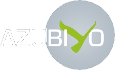 logo_azubiyo